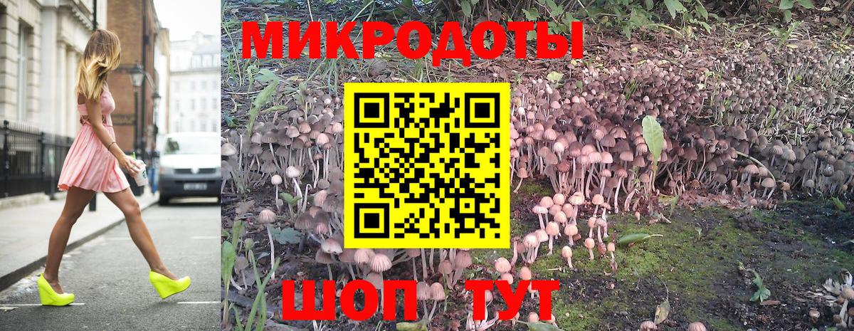 Дивногорск  Галлюциногенные грибы ЛСД  Вход с VPN  Галлюциногенные грибы Psilocybine cubensis 