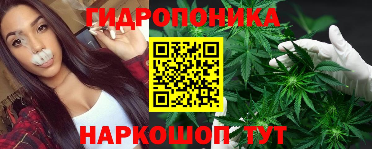 Конопля гибрид  Марихуана LSD WEED  Дивногорск  Марихуана тримм  Вход с VPN 